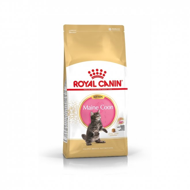 מזון יבש לגורי חתולים מגזע מיין קון 4 ק"ג | Royal Canin Maine Coon Kitten