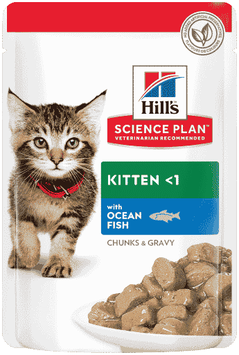 מזון רטוב לחתולים גורי דגי ים 85 גרם | Hill's Science Plan Kitten with Ocean Fish