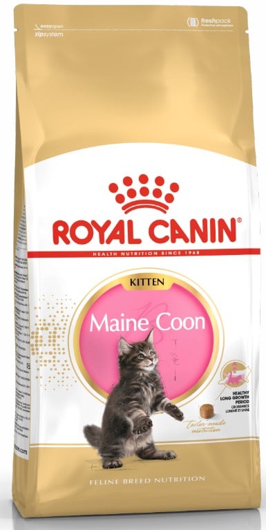 מזון יבש לגורי חתולים מגזע מיין קון 10 ק"ג | Royal Canin Maine Coon Kitten