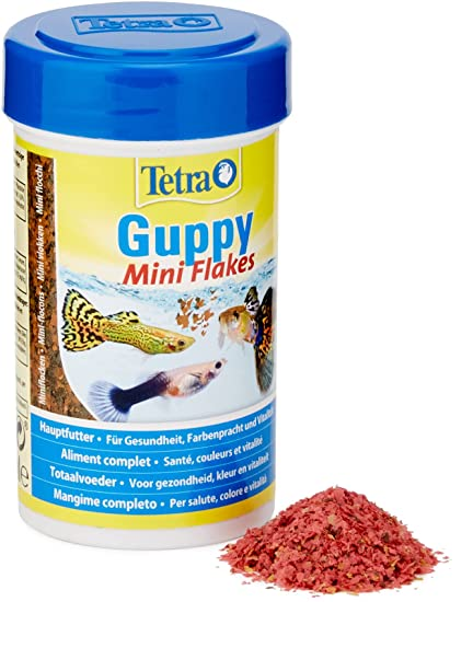 פתיתי מזון דגים מיני גופי 100 גרם | Tetra Gupy Mini Flakes