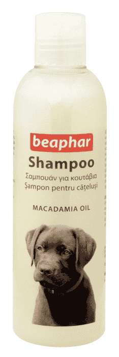שמפו לכלבים גורים 250 מ"ל | Beaphar
