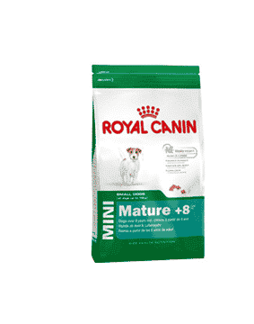 מזון יבש לכלבים מבוגרים מגזע קטן 8 ק"ג | Royal Canin Mini Mature +8
