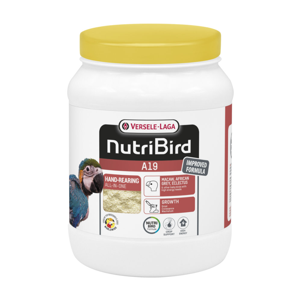 דייסה להאכלת גוזלי תוכים גדולים 800 גרם | Versele-Laga NutriBird A19