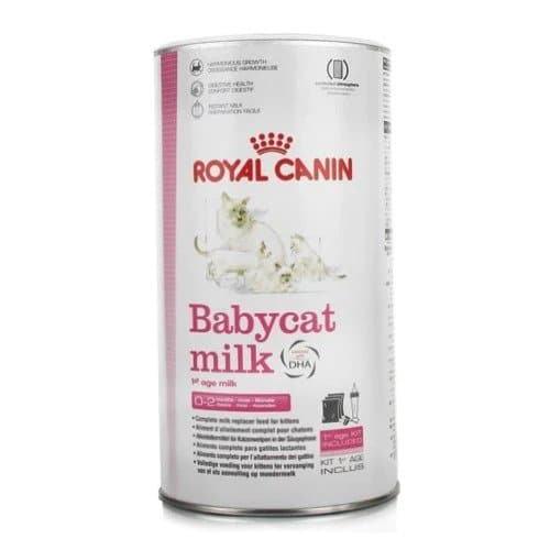 תחליף חלב לגורי חתולים 300 גרם | Royal Canin Babycat Milk