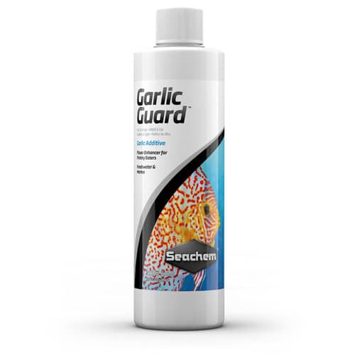 תוסף שום לאקווריום 250 מ"ל | Seachem Garlic Guard