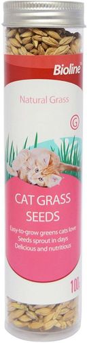 זרעי דשא לחתולים 100 גרם | Bioline Cat Grass Seeds