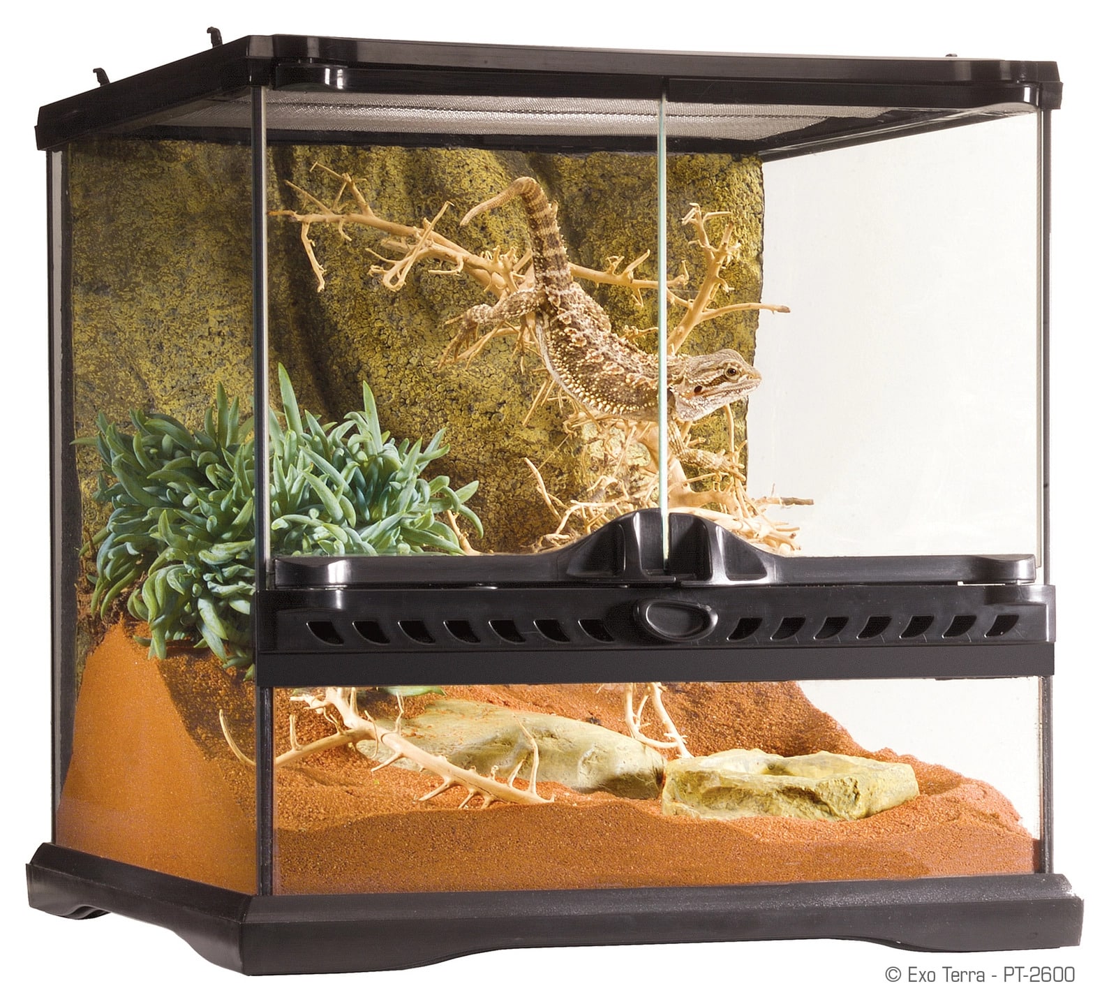 טרריום זכוכית לזוחלים 30X30X30 ס"מ | Exo Terra Natural Terrarium Mini/Wide