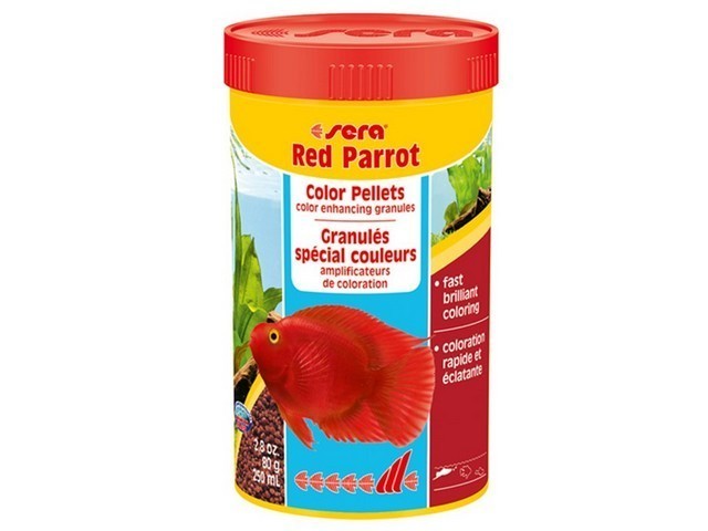 מזון צף לדגי תוכי 250 מ"ל | Sera Red Parrot