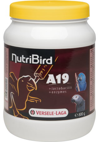 דייסה להאכלת יד לגוזלי תוכים גדולים 800 גרם | Versele Laga NutriBird A19 High Energy
