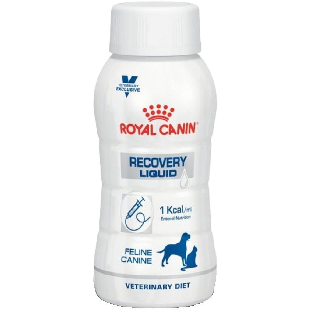 משקה ריקברי נוזלי 0.2 ליטר 3 יח | Royal Canin