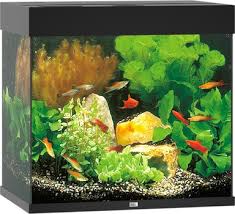 אקווריום לדגים 120 ליטר עם תאורת LED | Juwel Lido 120 LED Aquarium