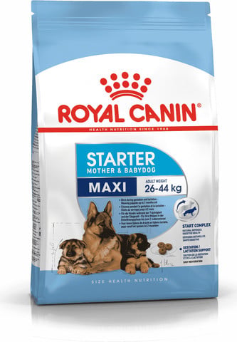 מזון יבש לאם וגורי כלבים מגזע גדול 4 ק"ג | Royal Canin Maxi Starter
