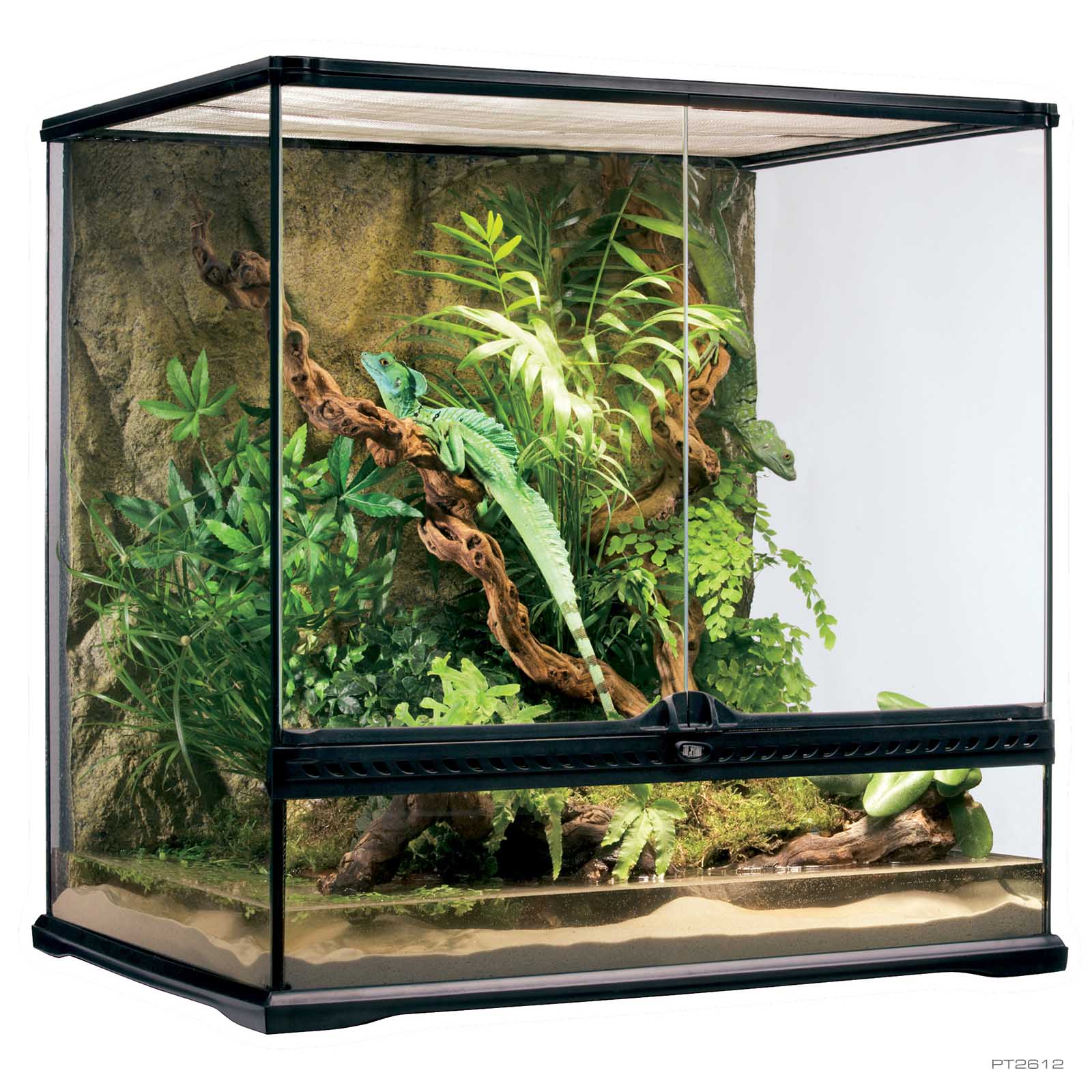 טרריום טבעי לזוחלים ודו-חיים 60x40x60 ס"מ | Exo Terra