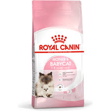 מזון יבש לחתלתולים ולאמא 10 ק"ג | Royal Canin Mother & Babycat