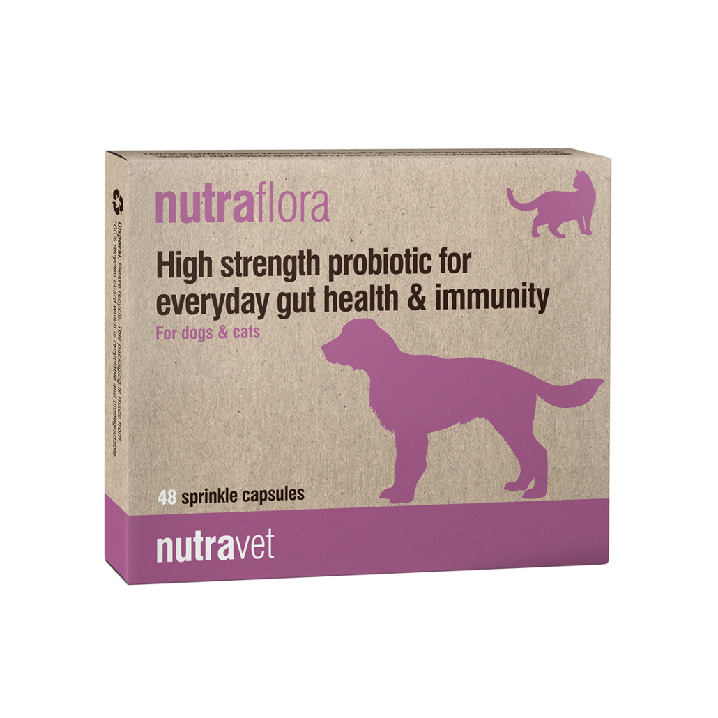 תוסף פרוביוטיקה לכלבים 48 קפסולות | Nutravet Nutraflora Gut Health